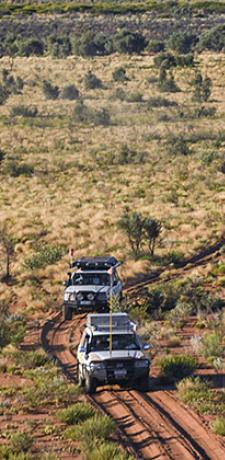 a group of vehicles driving through a field