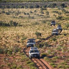 a group of vehicles driving through a field