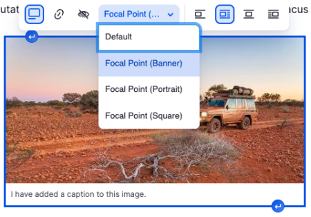 Embed options